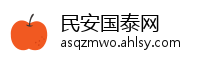 民安国泰网